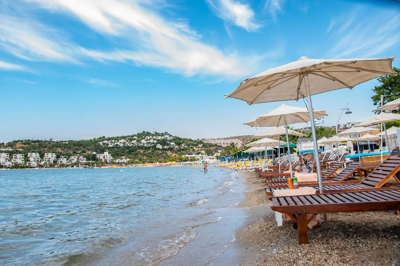 Blue Bay Beach Hotel (Adults Only) Bitez